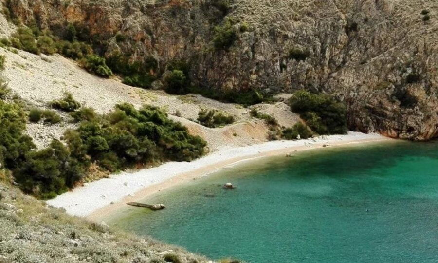 Wild Bays: Swimming and Snorkeling With Captain Bobo (3,5h)