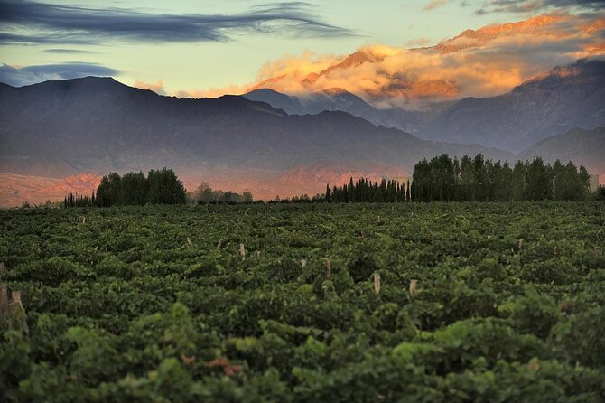 Wine Lovers' Adventure: Mendoza in 4 Days