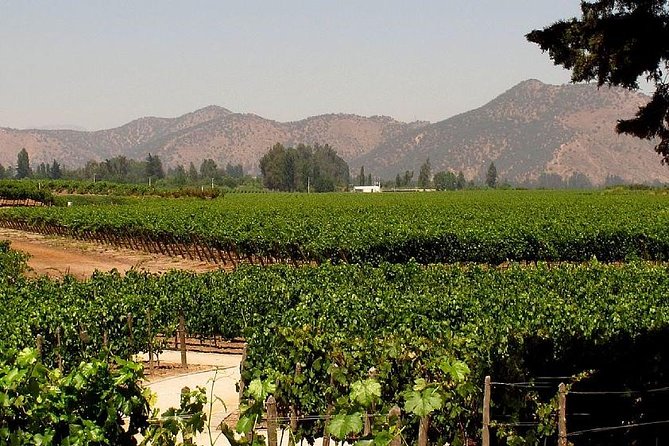 Wine Lovers’ Dream: Concha Y Toro Excursion