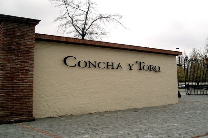 Wine Lovers’ Dream: Concha Y Toro Expedition