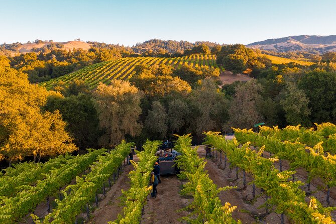 Wine Tasting Experience @ Lyrarakis Winery (Transfer Included) - Directions