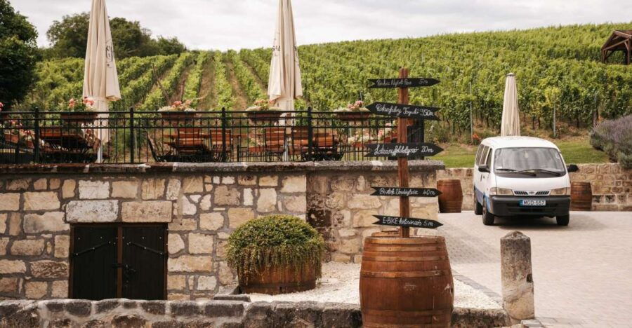 Wine Tasting Guided Tour at Rókusfalvy Estate