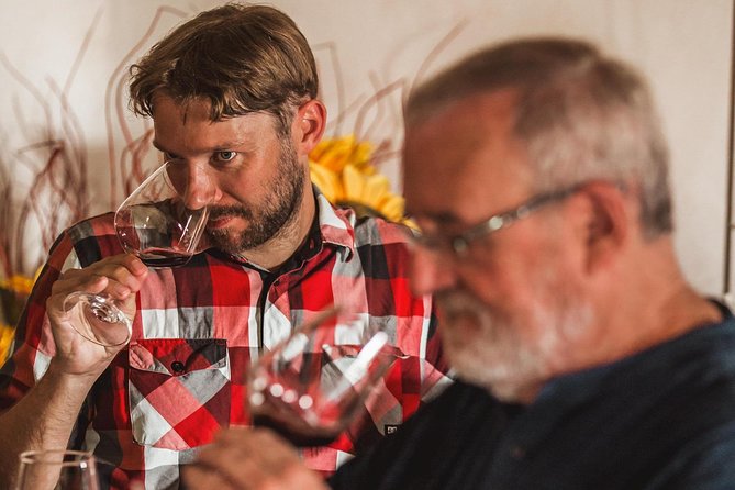 Wine Tasting in Bolgheri