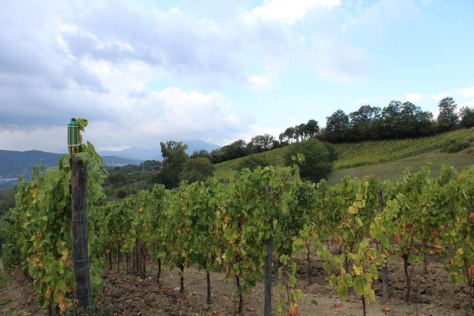 Wine Tasting Lunch on Mt. Vesuvio Halfday 4h From Naples Sorrento Amalfi Coast - Good To Know