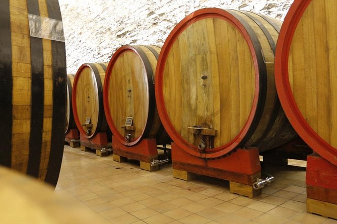 Wine Tasting, Valpolicella Cellar Visit, Amarone and Red Wines Region Day Tour - Good To Know