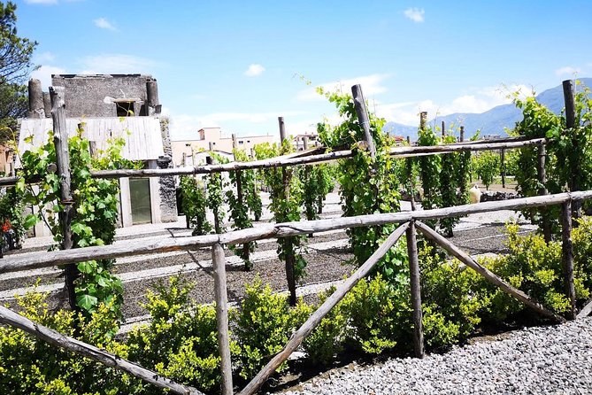 Wine Tasting & Vesuvio Vulcano - Exclusive Experience All Inclusive - Good To Know