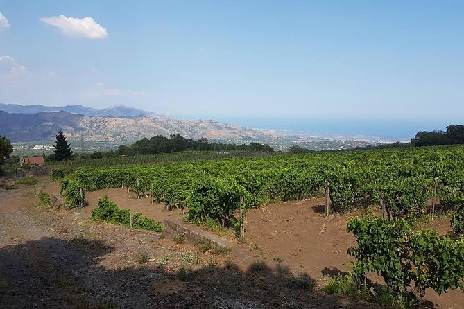 Wine Tour in Linguaglossa and in Addition Visit of Taormina From Giardini Naxos - Tour Itinerary Overview