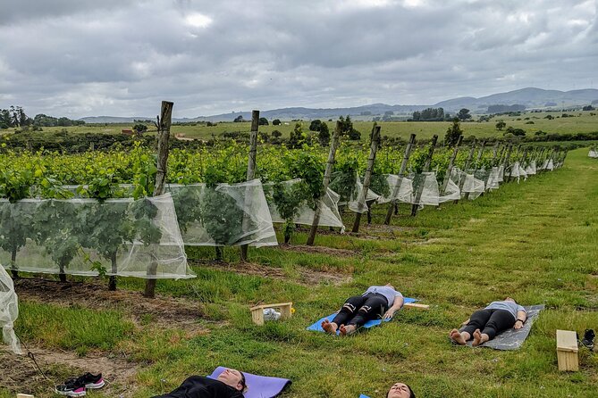 Yoga, Wine, and Meditation Blend in Paradise