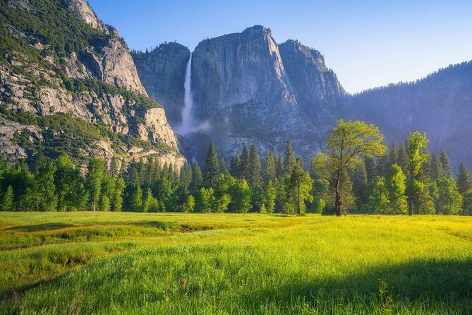 Yosemite Full Day Private Tour