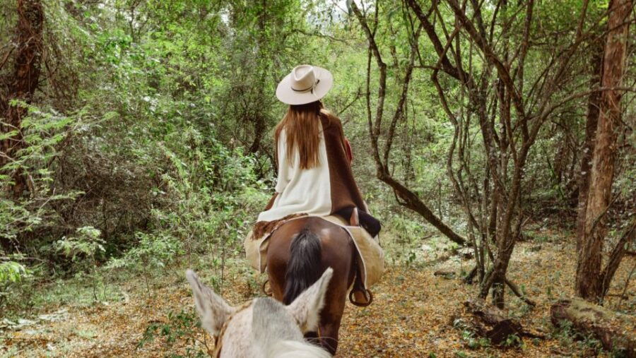 Yungas : Horseback Riding in the Jungle Picnic