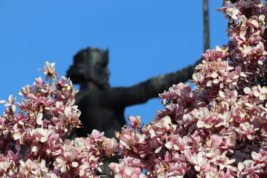 Zagreb: Private Highlights Walking Tour W/ Funicular Ticket - Good To Know
