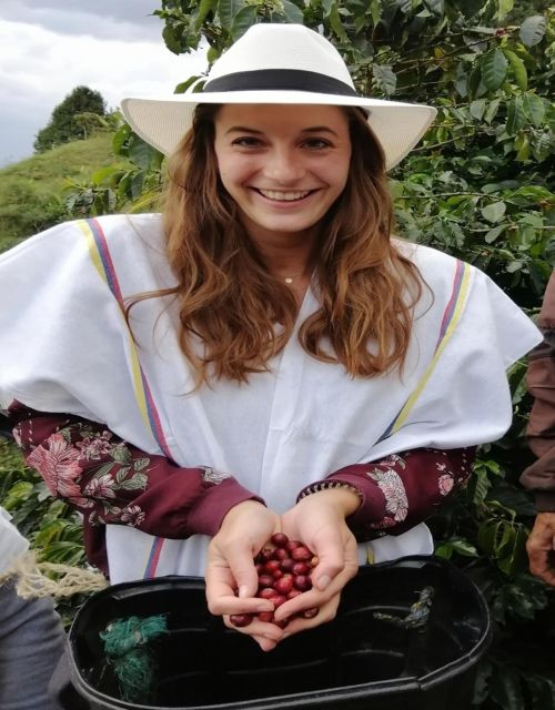 Medellín Coffee Farm Tour With Trolley and Cable Car Ride - Good To Know