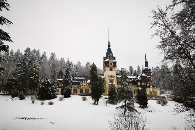 1 Day Castles Tour - Sinaia and Bran - Tour Details