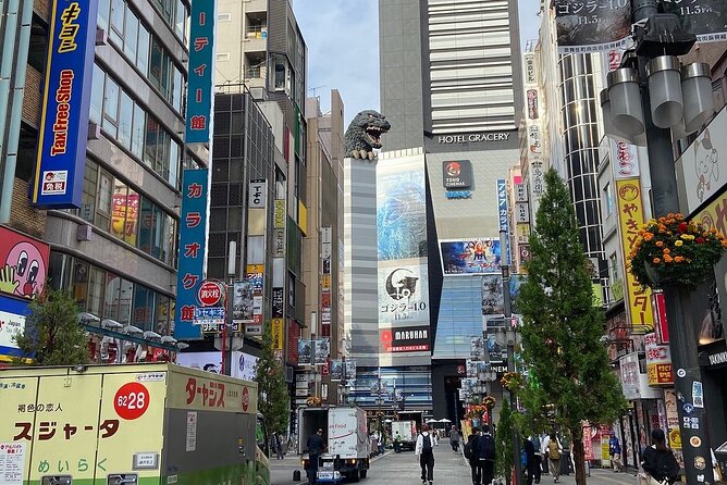 1 Day Tokyo Private Tour With English & Hindi Speaking Driver - Good To Know