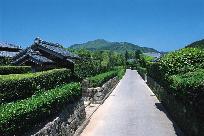 1 Day Tour to Ibusuki Chiran With English Speaking Guide