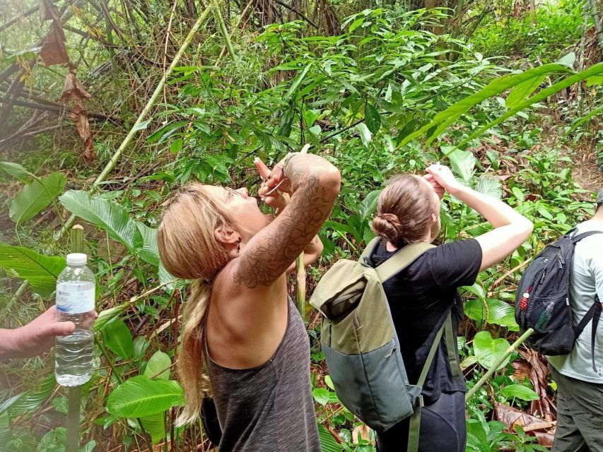 1 Day Trekking : Chiang Rai Popular Activity,Fun in Nature. - Guide and Group Size