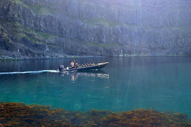 1 Hour Iceland Nature and Wildlife RIB Small Group Guided Safari - Good To Know
