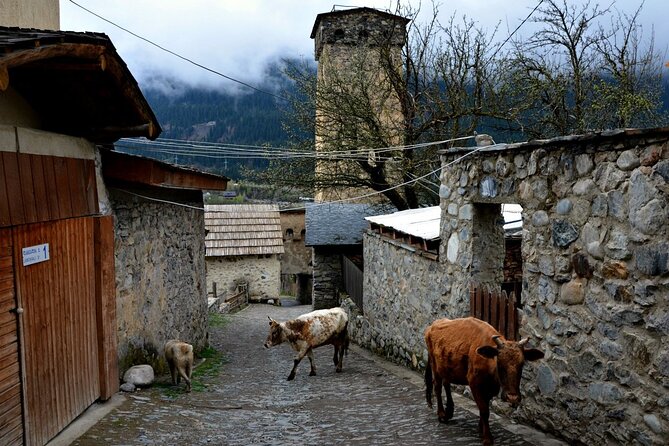 10-Day Best of Georgia Tour - Accommodation Details