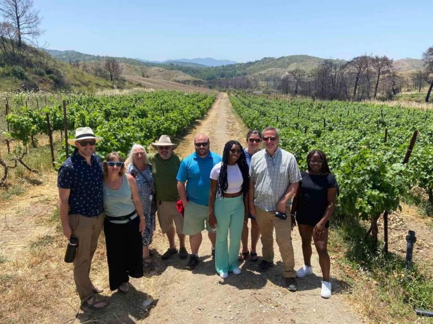 11 Course Lunch, Wine Tasting & Cooking Mastery in Rhodes