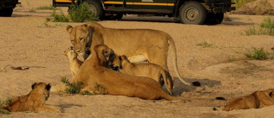 15 Day Tour of South Africa – Cape Town to Johannesburg