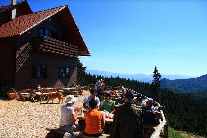 1 Day CARPATHIAN PEAKS & CHALETS Hike - Hiking Experience Highlights