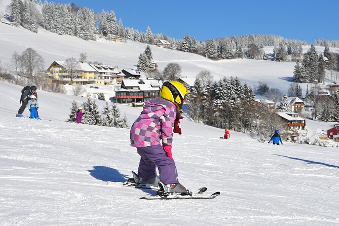 1-Day Private Ski Lesson From Tokyo With Mt. Fuji Sightseeing - Location and Transportation