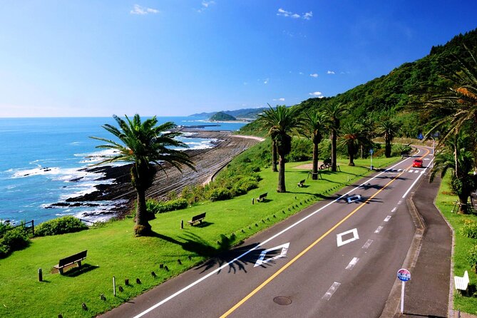 1 Day Private Tour to Miyazaki Nichinan - Tour Inclusions