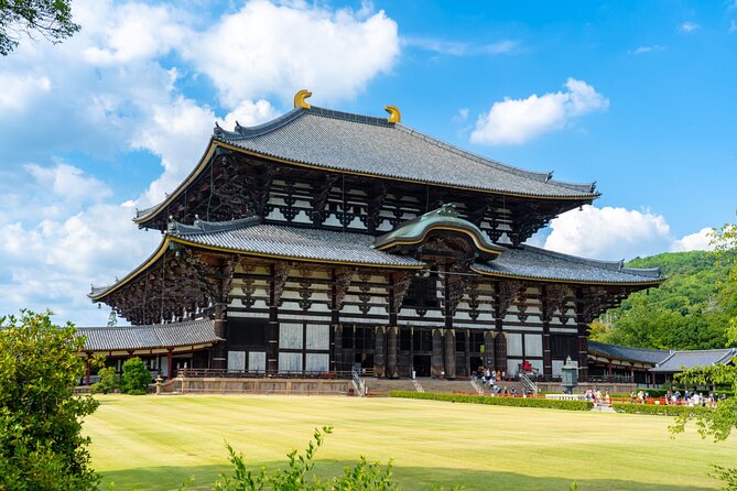 1 Day Walking Tour in Nara Palace Deer and Inkstick - Tour Overview