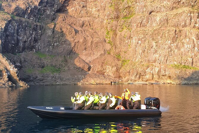 1 Hour Iceland Nature and Wildlife RIB Small Group Guided Safari - Tour Description