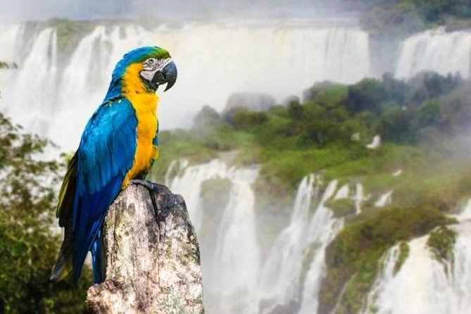 10-Day Best of Buenos Aires and Iguazu Falls Tour - Buenos Aires Highlights