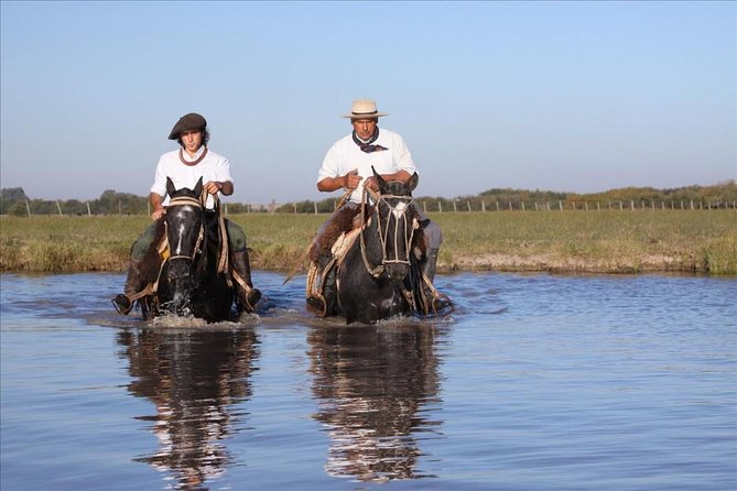 2-Days and 1 Night in Areco - Tour Highlights