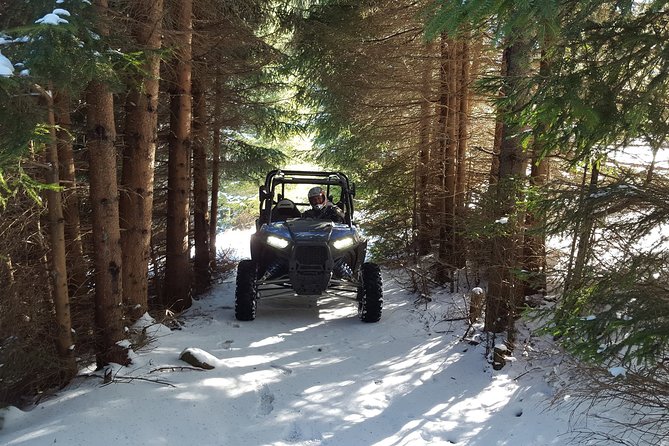 2 Hour Private Superb Buggy Adventure - Tour Highlights