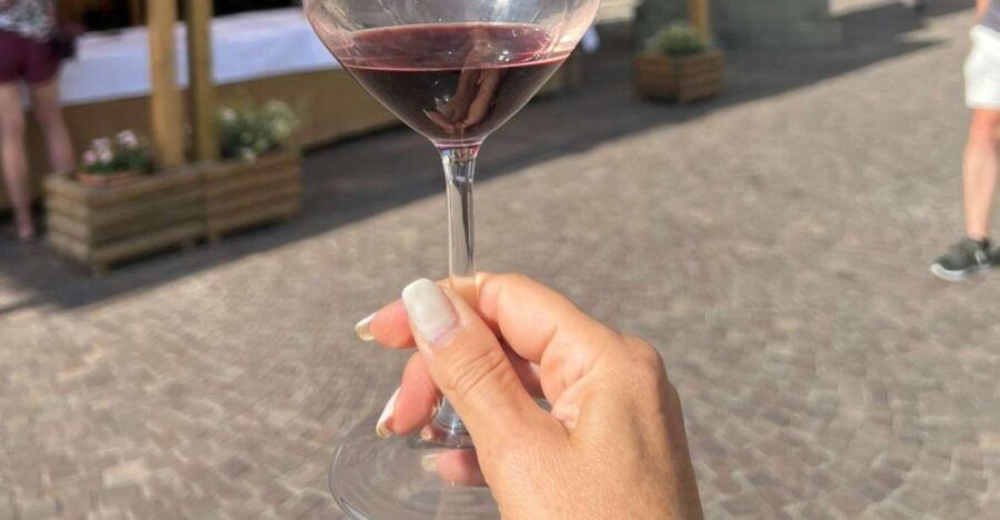 2 Wineries Chianti Wine Tasting Private Tour - Good To Know