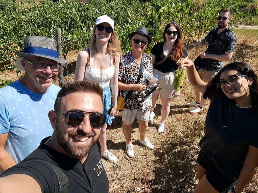 3 Best Wine Tours In Skalani