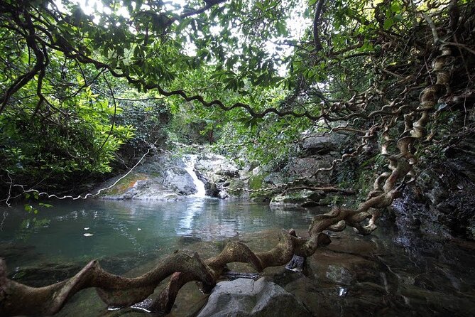 3-Day and 2-Night Amami Folksong Private Tour in Japan - Tour Highlights