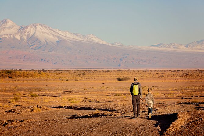 3-Day Exploring San Pedro De Atacama - Day 1: Geysers and Hot Springs