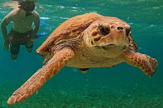 3-Hour Guided Jet Ski Snorkeling Tour on San Pedro Barrier Reef - Location Details