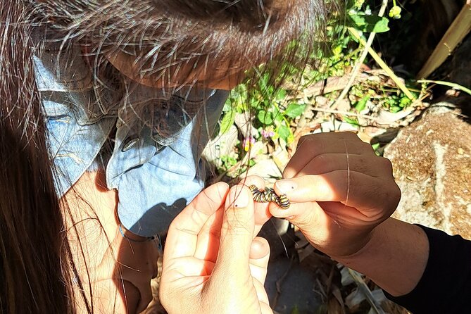 3-hour Private Tour to the Peque Doraz Butterfly Garden by Ebike
