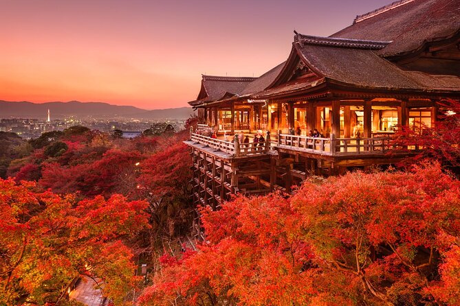 4 Days Private Customizable Tour in Osaka, Nara, Kyoto, Kobe - Tour Itinerary and Highlights