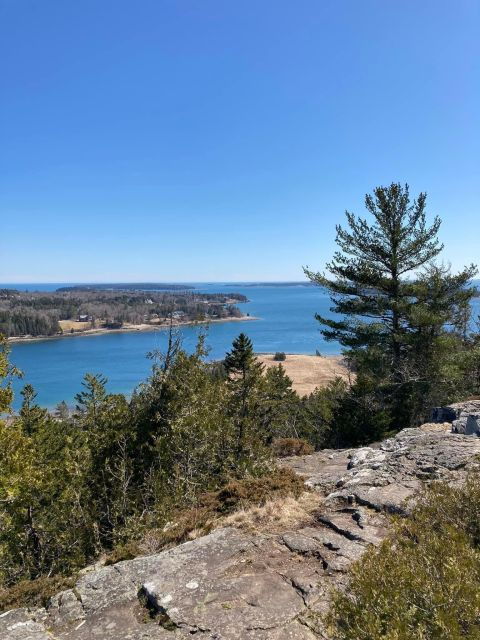 4 Hour Private Tour: Acadia, Fjord, Gardens & Mansions - Good To Know