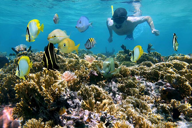 5 Islands Tour With Lunch Snorkeling and Plankton - Meeting Point and Pickup