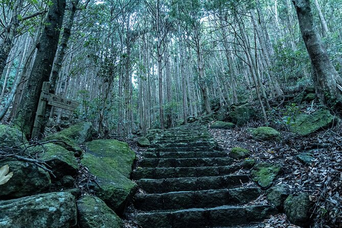 6 Day Private Ise and Kumano Tour - Tour Highlights