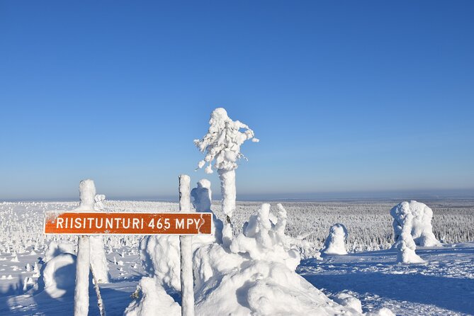 7 Days Winter Lapland Nature Experience - Winter Activities Included