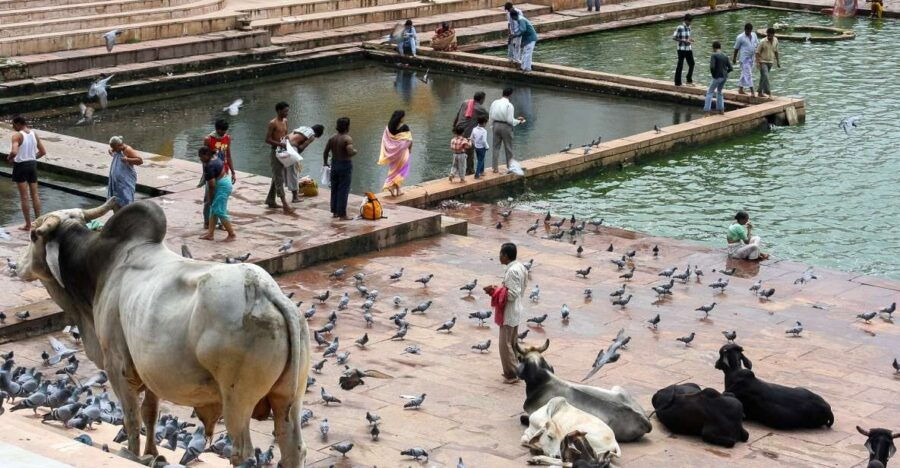 A Day Trip of Pushkar From Jaipur - Good To Know