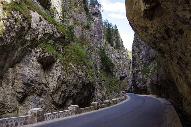 Adventure Day Trip From Iasi | Hiking in the Carpathian Mountains - Trip Overview