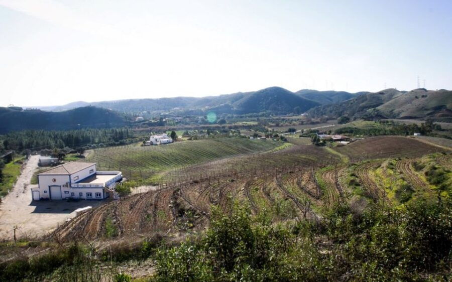 Algarve Wine Tour and Mountain Top Trip With Lunch or Dinner - Tour Details