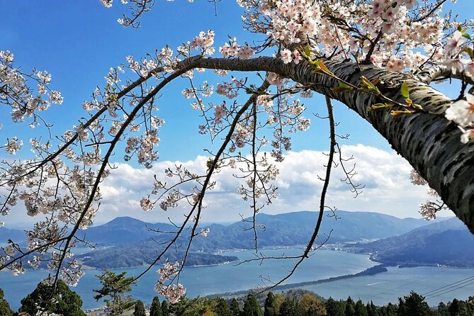Amanohashidate Private Customizable Tour From Osaka or Kyoto - Tour Details