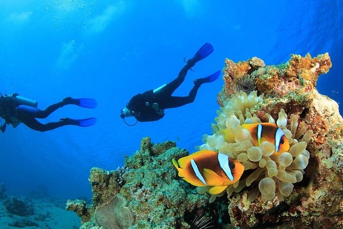 Antalya Scuba Diving With Lunch, Transfer - Activity Overview