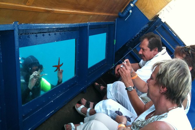 Aquavision Glassboat Katamaran - Tour Highlights