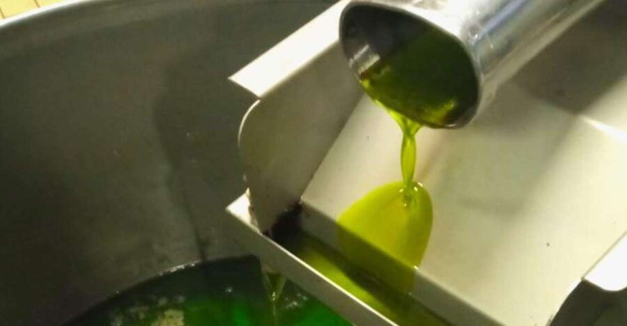 Ascoli Piceno: Olive Oil Tasting With Local Products